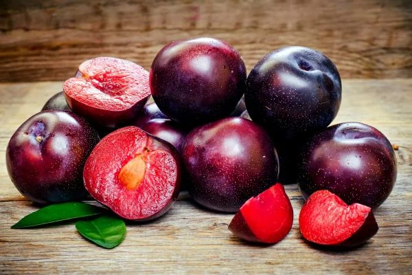 Which Country Exports the Most Plums and Sloes in the World?
